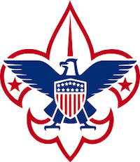 Boy Scouts of America files for bankruptcy as a result of sex abuse allegations