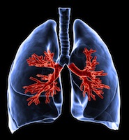 concerns linger over mesothelioma risks and asbestos